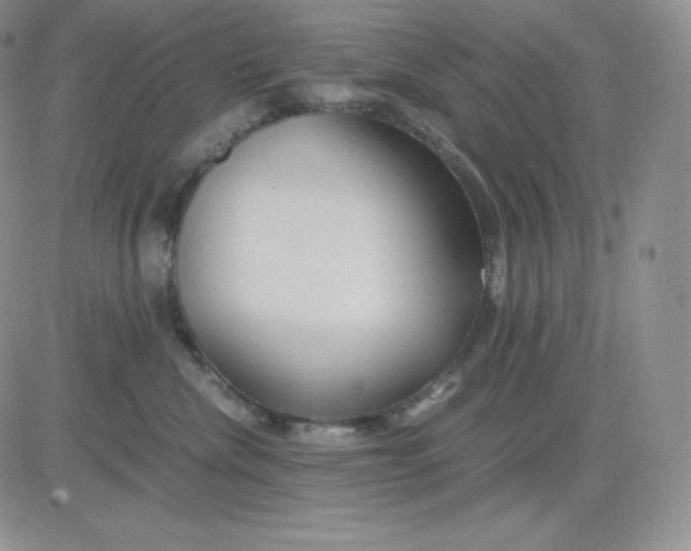 X0000081290476200701251657