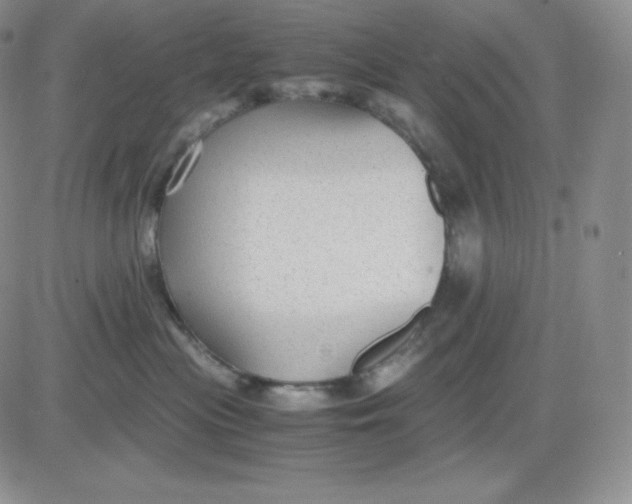 X0000081290477200701251657