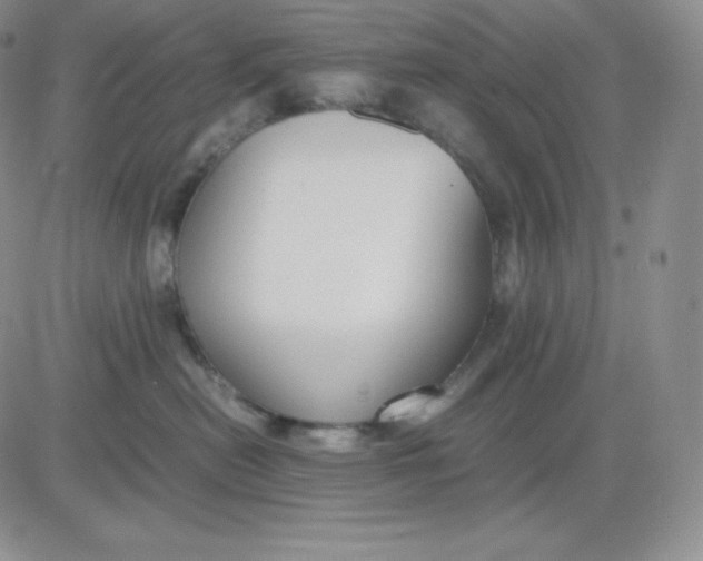 X0000081290478200701251657