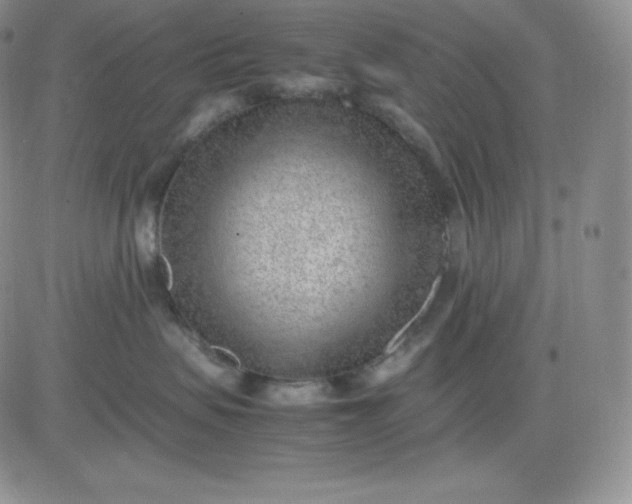 X0000081290479200701251657