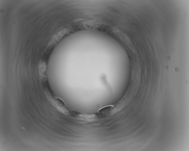 X0000081290480200701251657