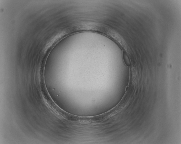 X0000081290482200701251657