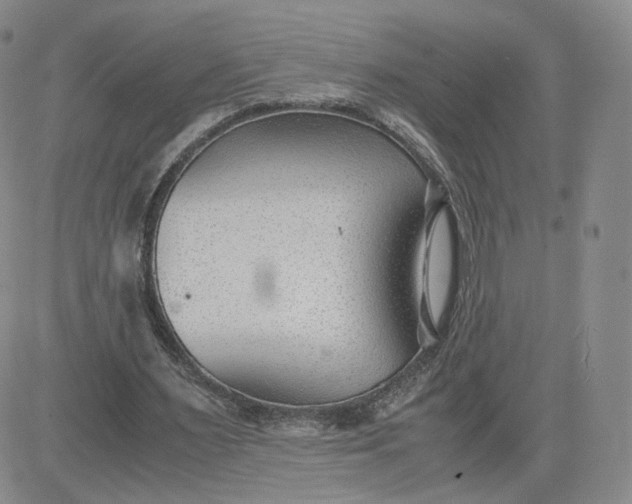 X0000081290483200701251657