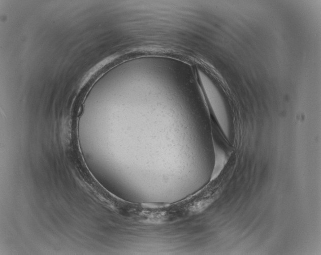 X0000081290484200701251657