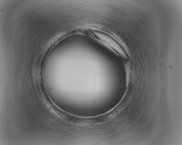 X0000081290485200701251656