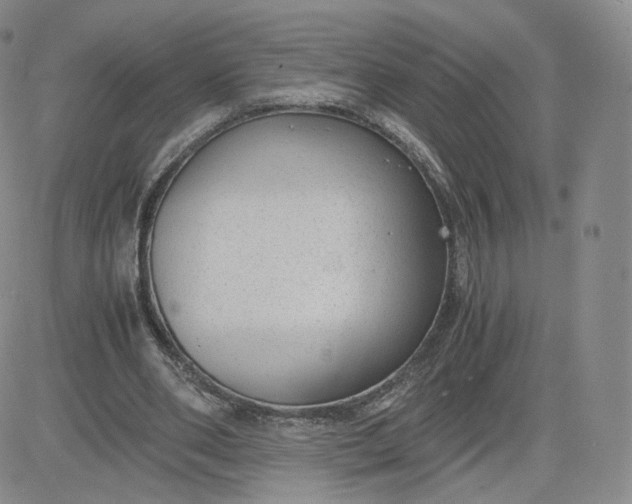 X0000081290486200701251656