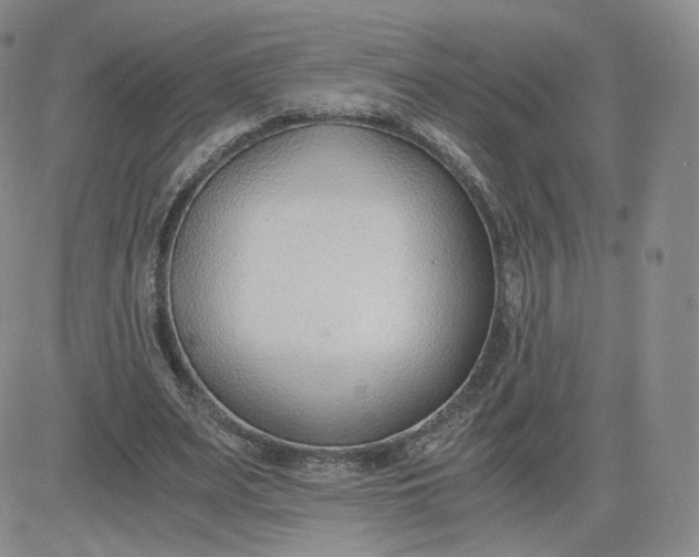 X0000081290487200701251656