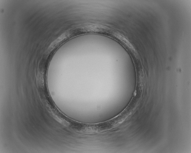 X0000081290489200701251656