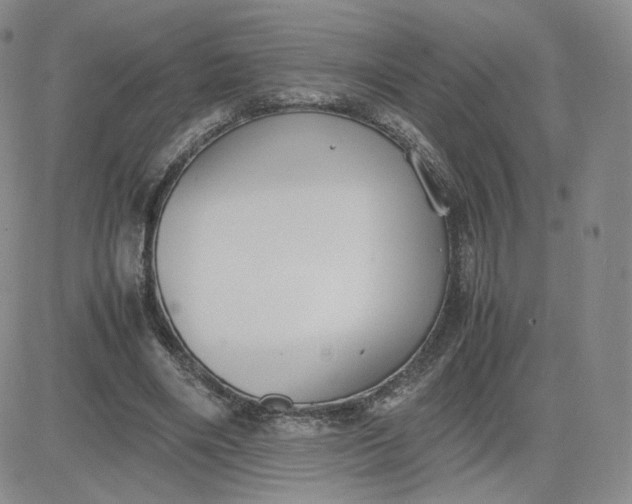 X0000081290490200701251656