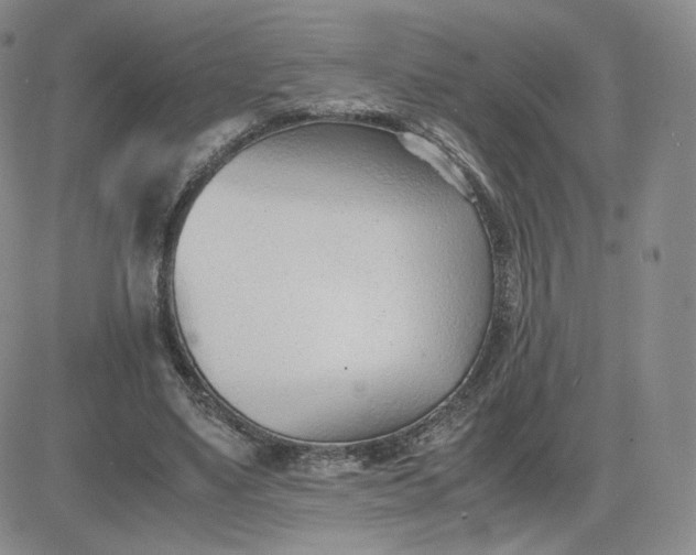 X0000081290491200701251656