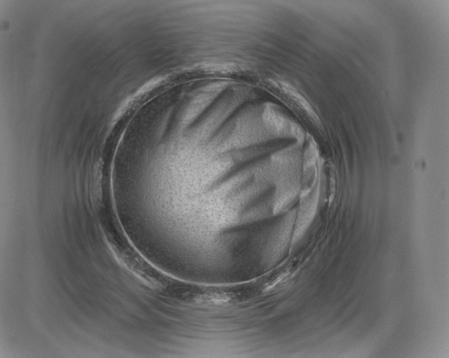 X0000081290492200701251656