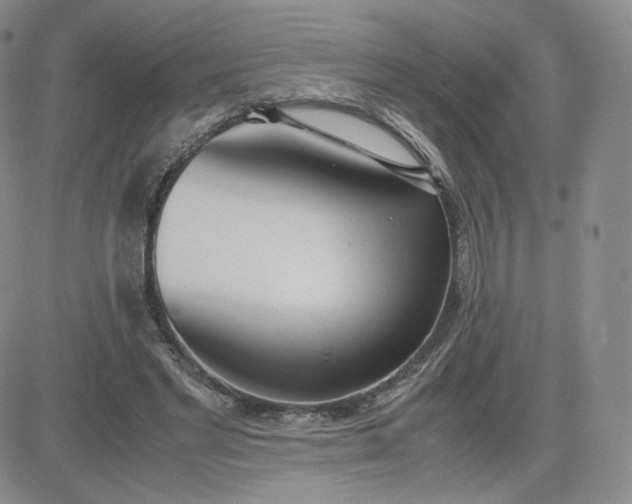 X0000081290493200701251656