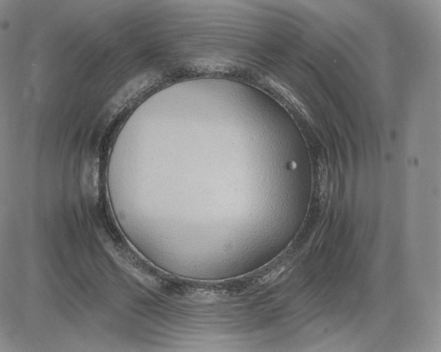 X0000081290494200701251656