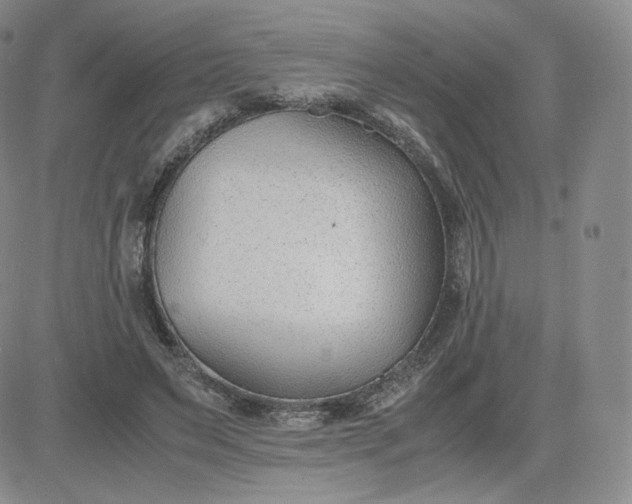 X0000081290495200701251656