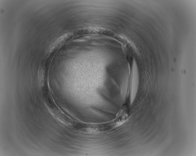 X0000081290496200701251656