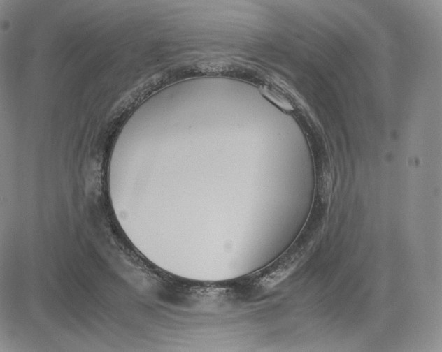 X0000081290497200701251656