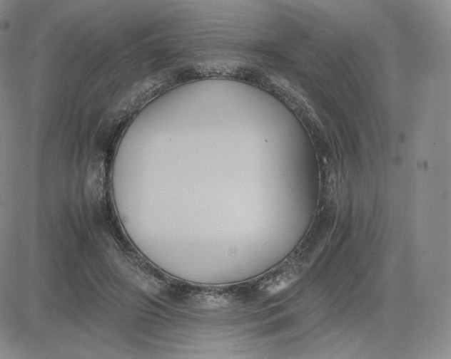 X0000081290498200701251656