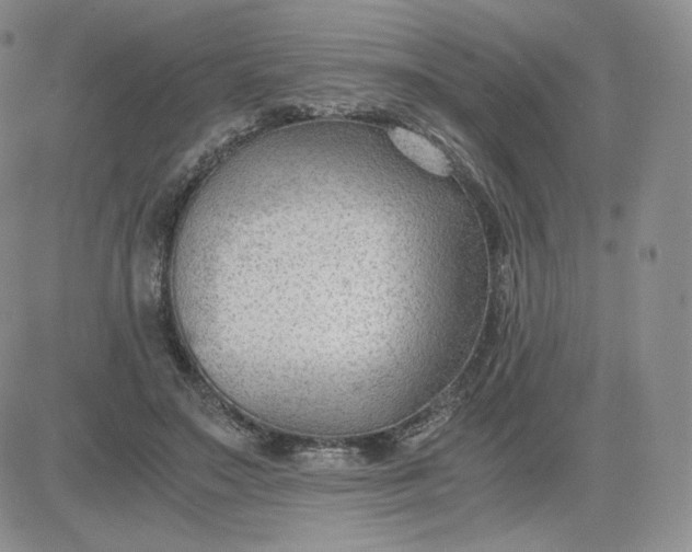 X0000081290499200701251656