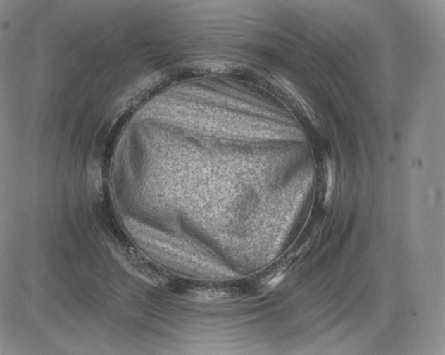 X0000081290500200701251656