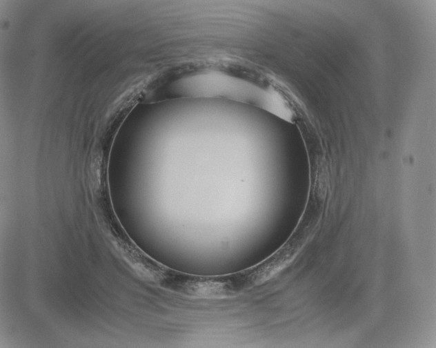 X0000081290501200701251656