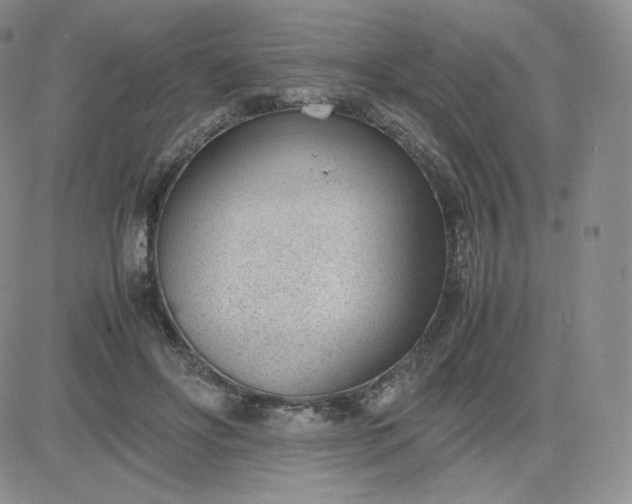 X0000081290502200701251656