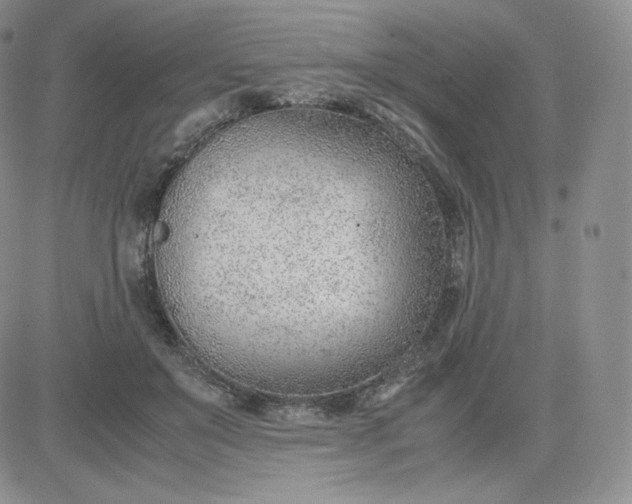 X0000081290503200701251656