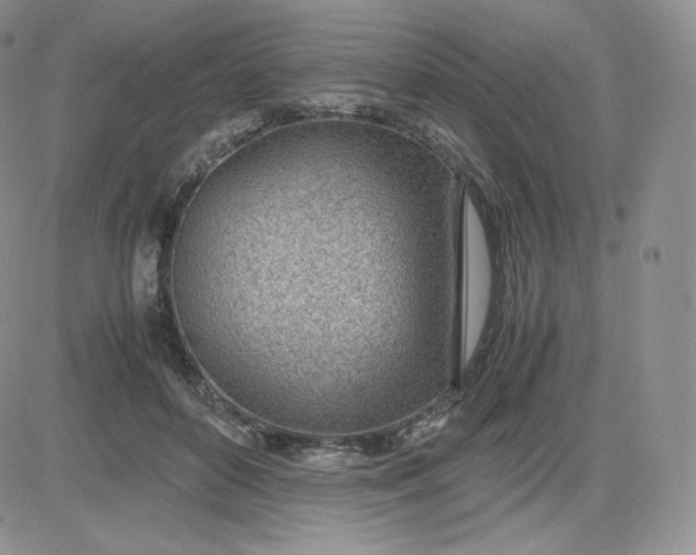 X0000081290504200701251656