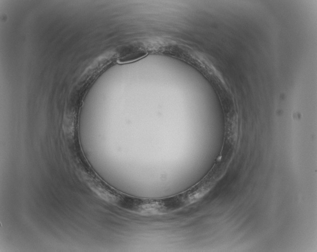 X0000081290505200701251656