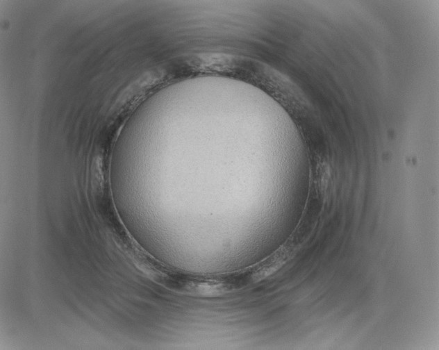 X0000081290506200701251656