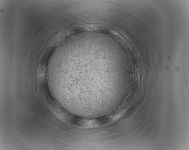 X0000081290507200701251656