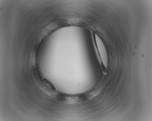 X0000081290508200701251656