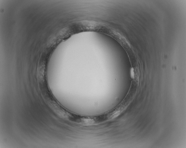 X0000081290509200701251656