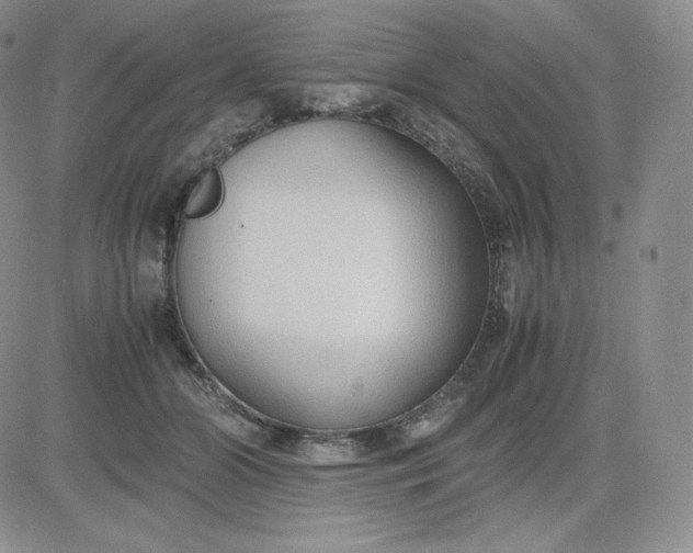 X0000081290510200701251656