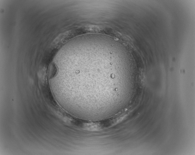 X0000081290511200701251656