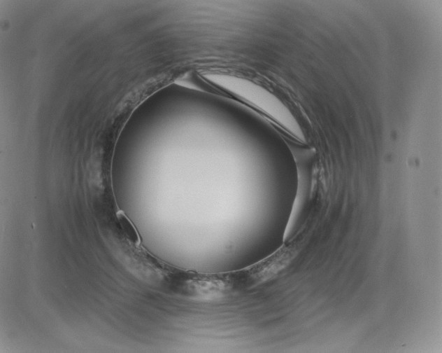 X0000081290512200701251656