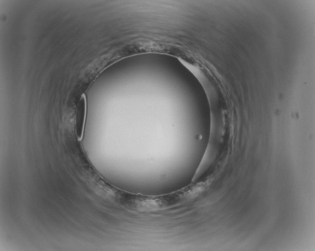 X0000081290513200701251656