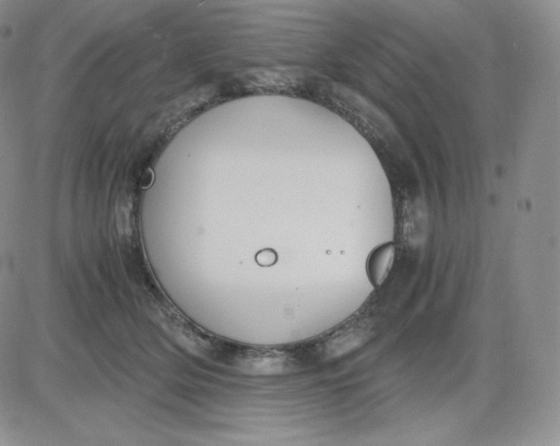 X0000081290514200701251656