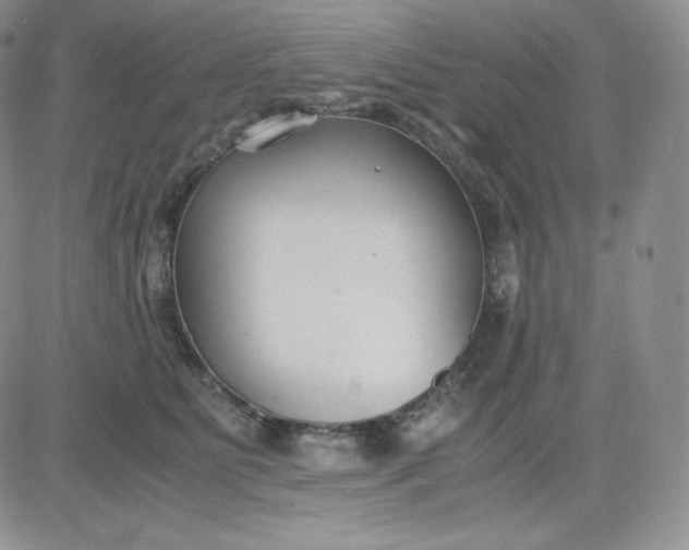 X0000081290515200701251656