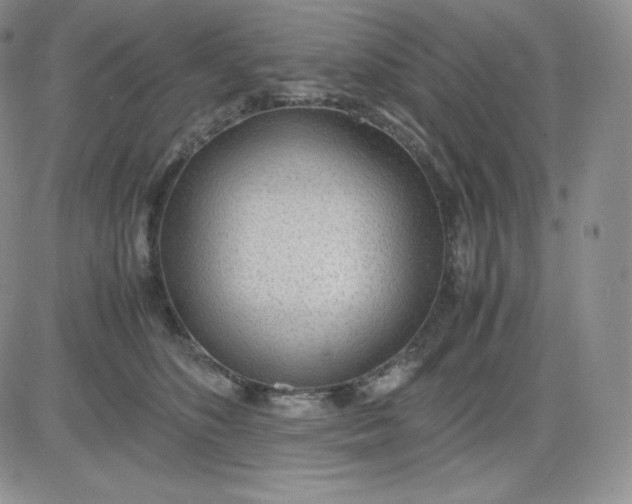 X0000081290516200701251656