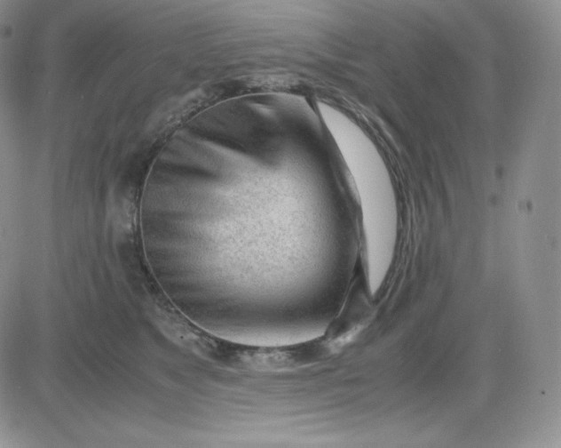 X0000081290517200701251656