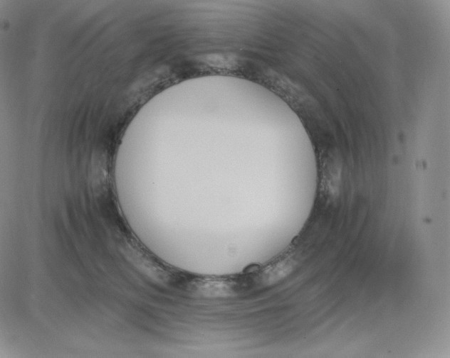 X0000081290518200701251656