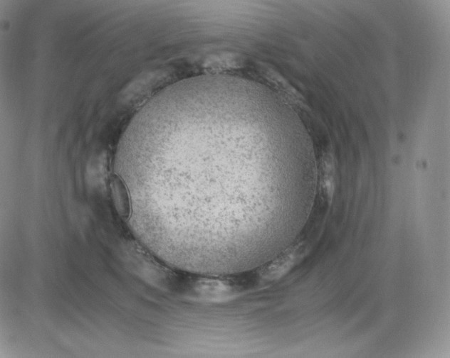 X0000081290519200701251656