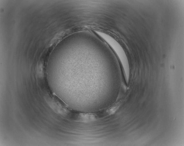 X0000081290520200701251656