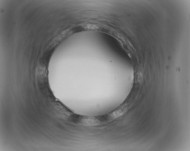 X0000081290521200701251656