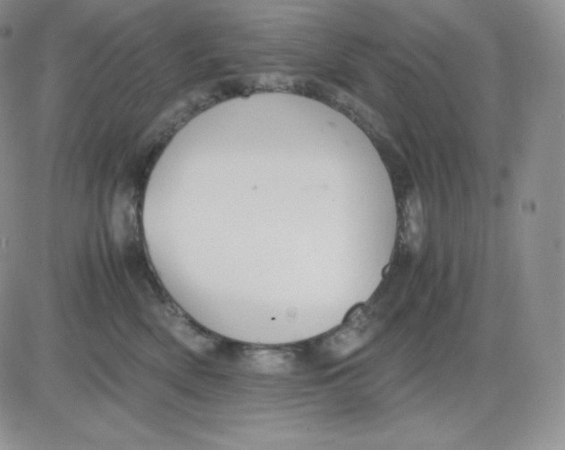 X0000081290522200701251656