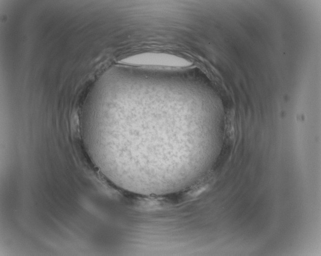 X0000081290523200701251656