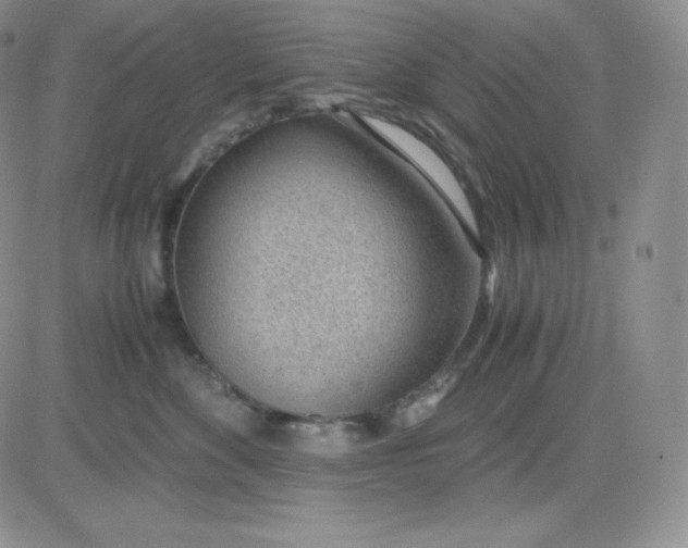 X0000081290524200701251656