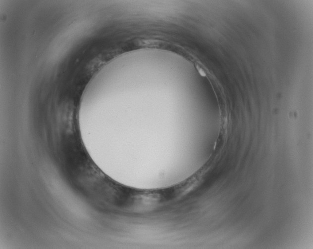 X0000081290525200701251656