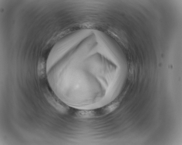 X0000081290526200701251656