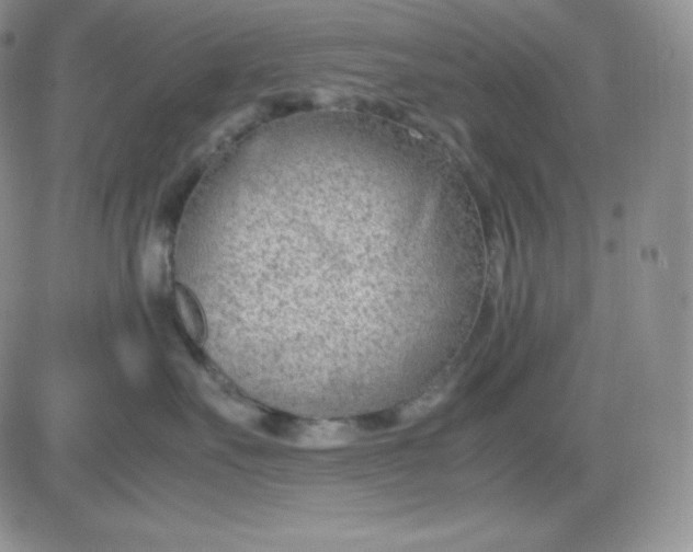 X0000081290527200701251656